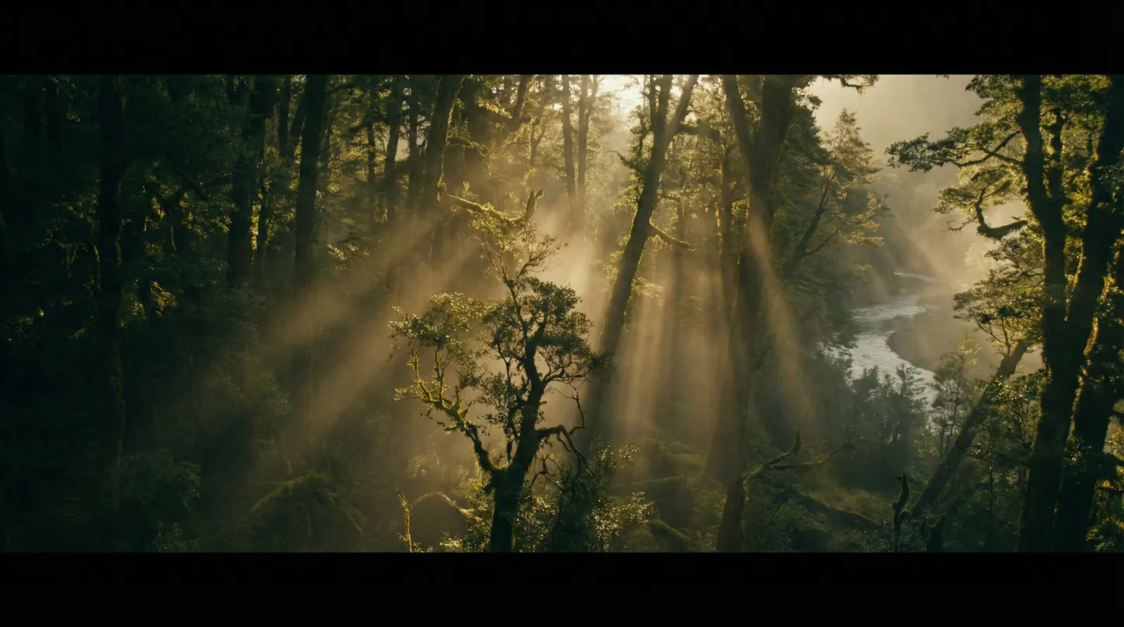 万利娱乐 自然纪录片风格调色案例